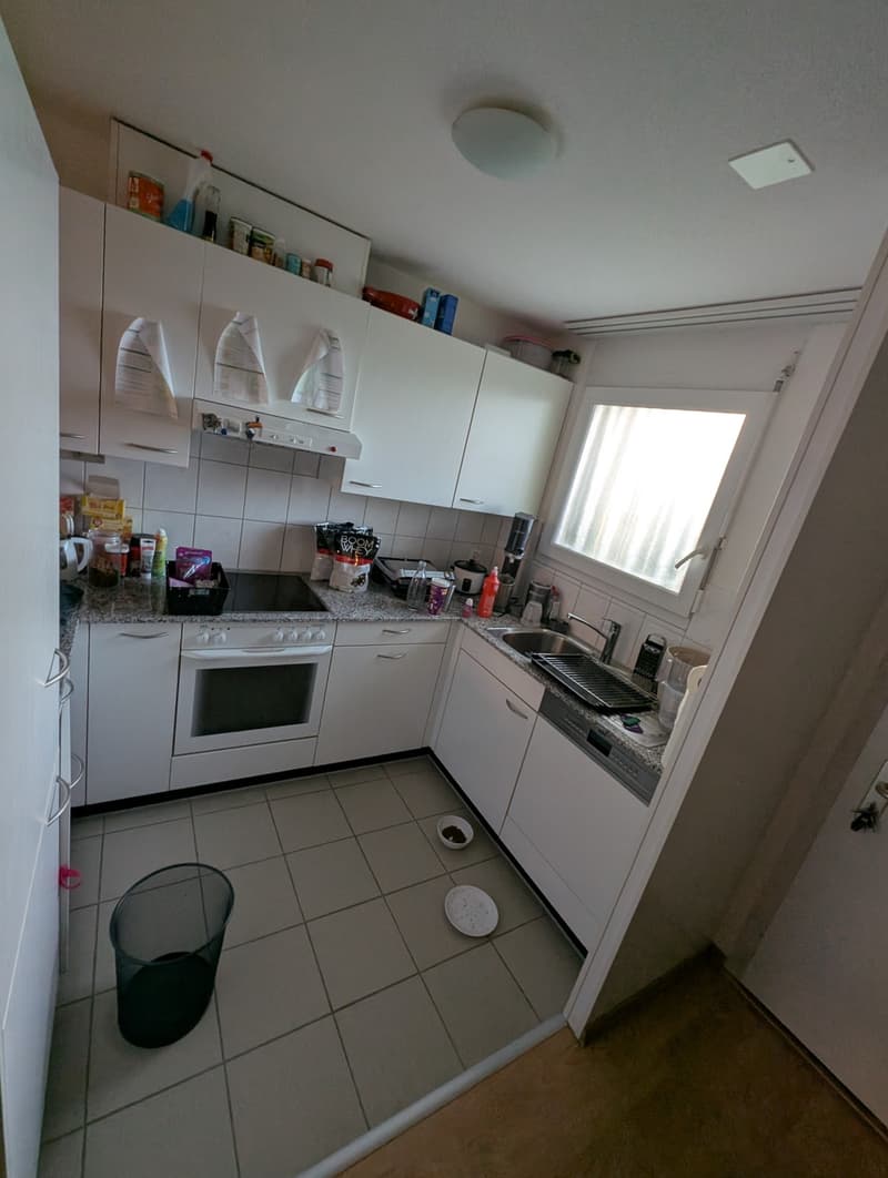 Beautiful 2 1/2 room apartment in Winterthur Hegi (4)