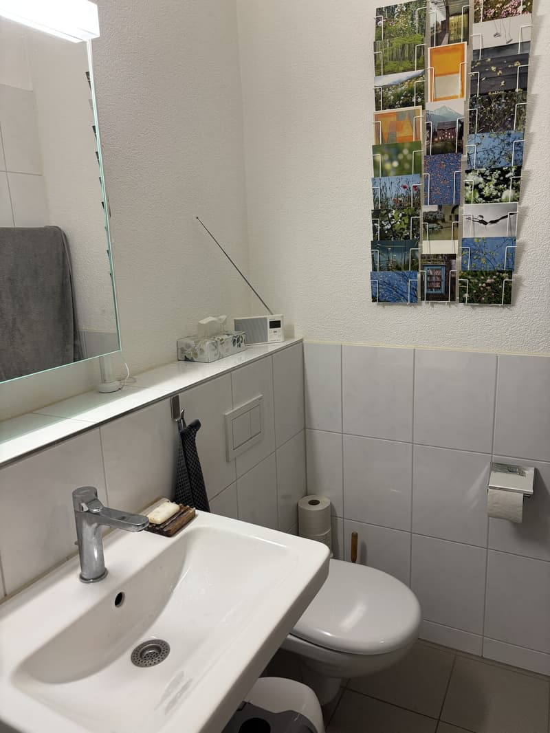 Summer flat with a view, 3 minutes from the Limmat (13)