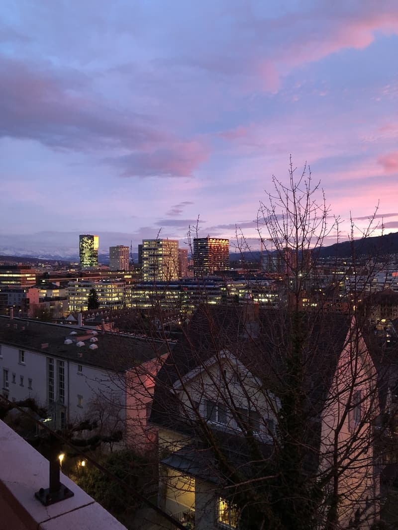 Summer flat with a view, 3 minutes from the Limmat (2)