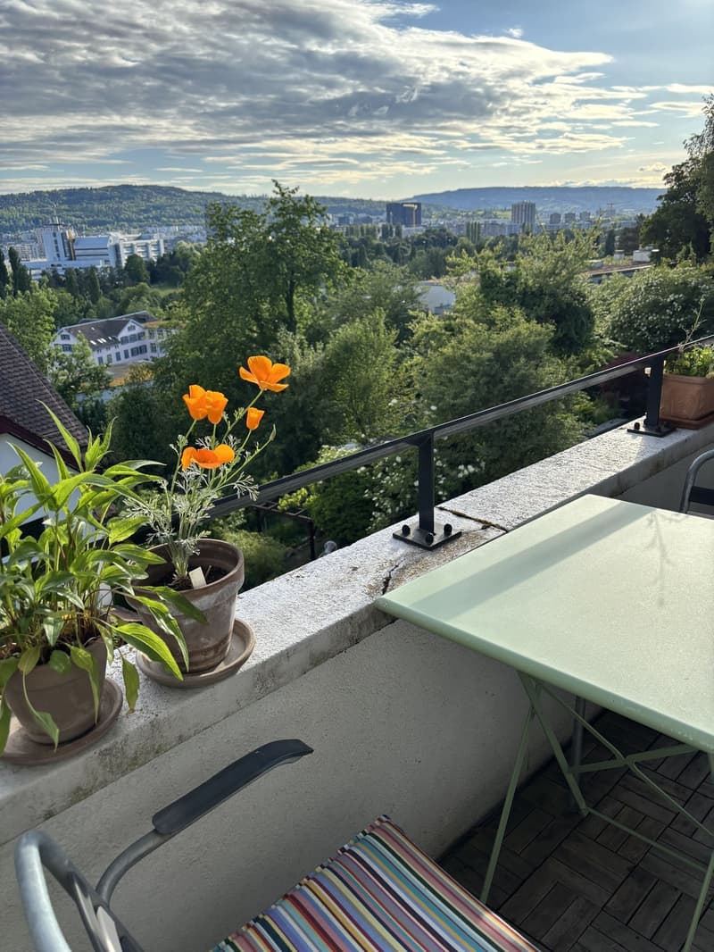Summer flat with a view, 3 minutes from the Limmat (8)