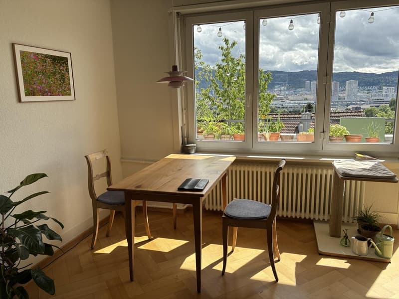 Summer flat with a view, 3 minutes from the Limmat (3)