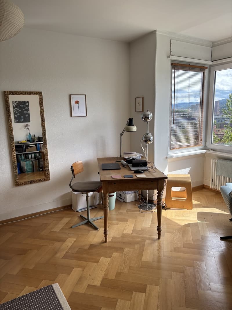 Summer flat with a view, 3 minutes from the Limmat (5)