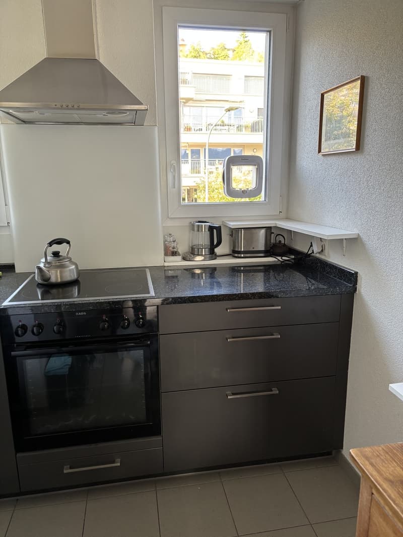Summer flat with a view, 3 minutes from the Limmat (10)