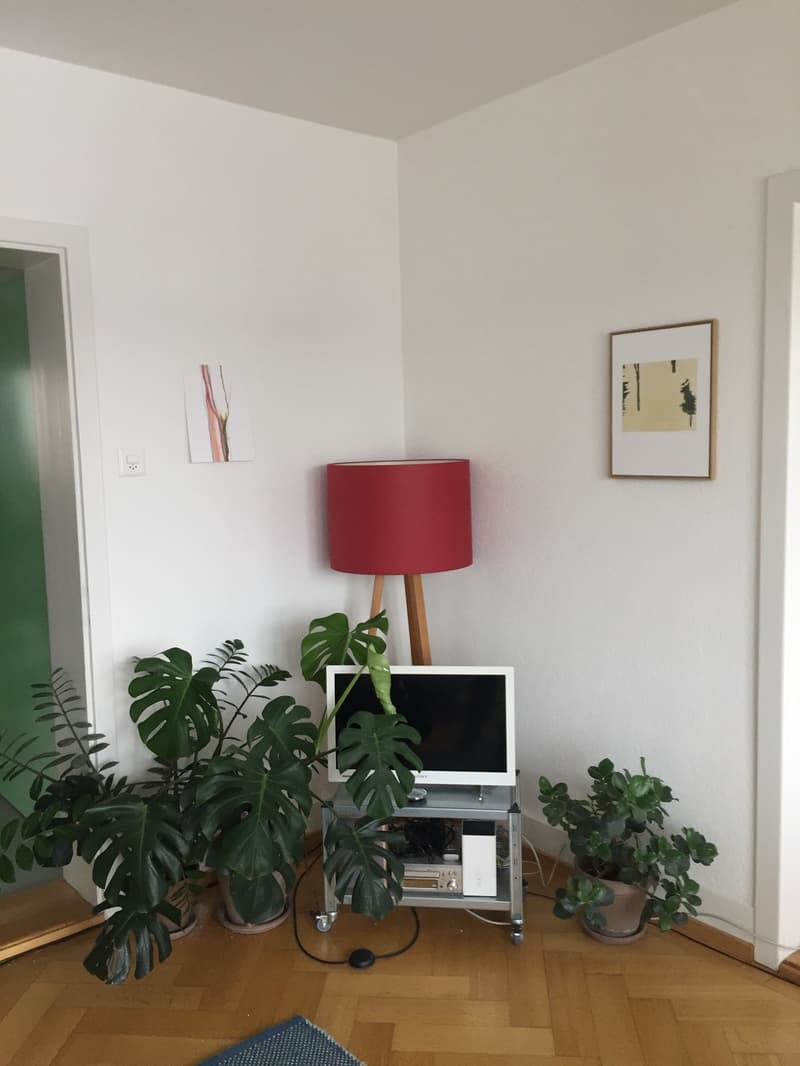 Summer flat with a view, 3 minutes from the Limmat (6)