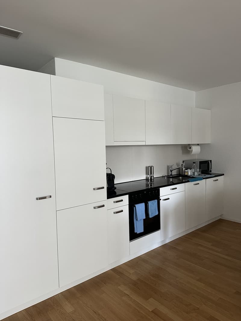 Untermieter*in gesucht: Helle 2.5-Zimmer-Wohnung mit Loggia und Abendsonne in Züricher Kreis 4 (2)