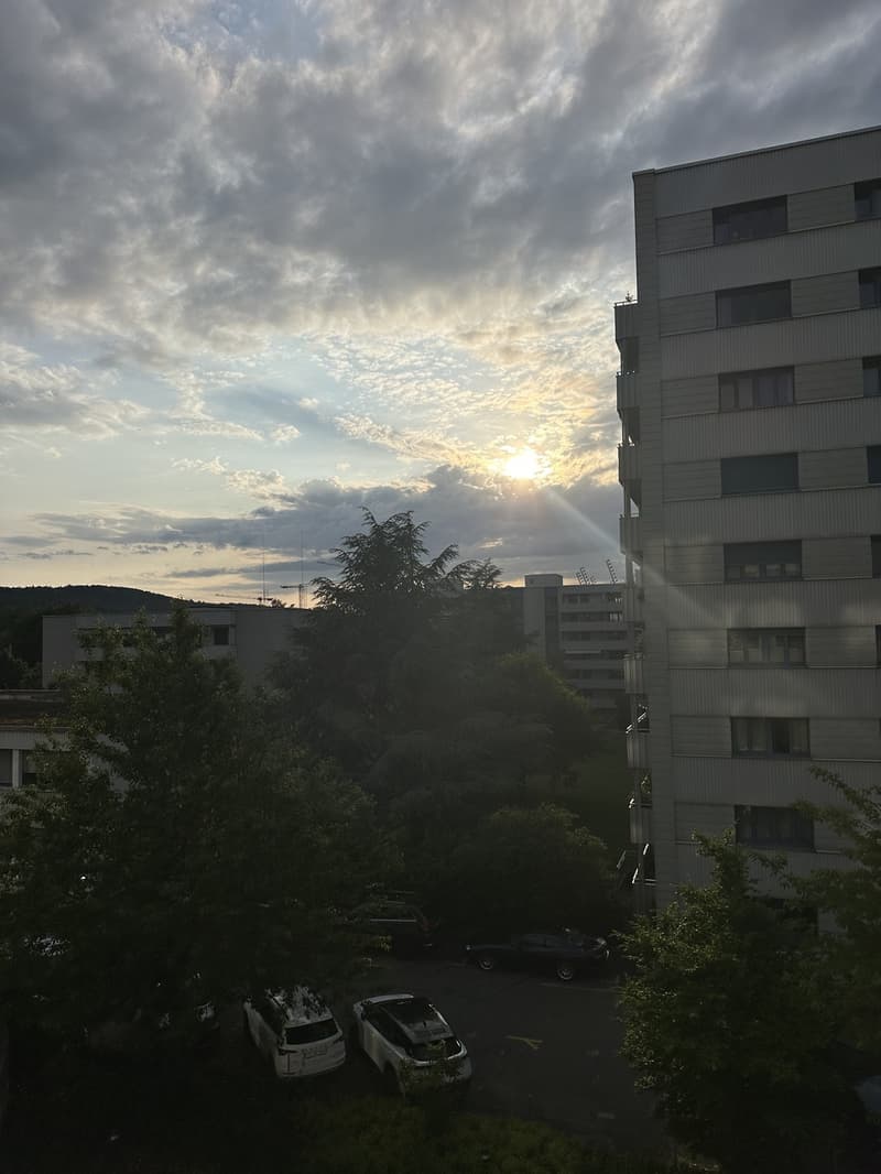 Untermieter*in gesucht: Helle 2.5-Zimmer-Wohnung mit Loggia und Abendsonne in Züricher Kreis 4 (7)