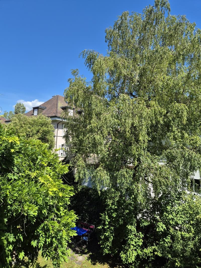 Appartamento 3 locali, Wernerstrasse (Elfenau), CHF 2'050 (6)