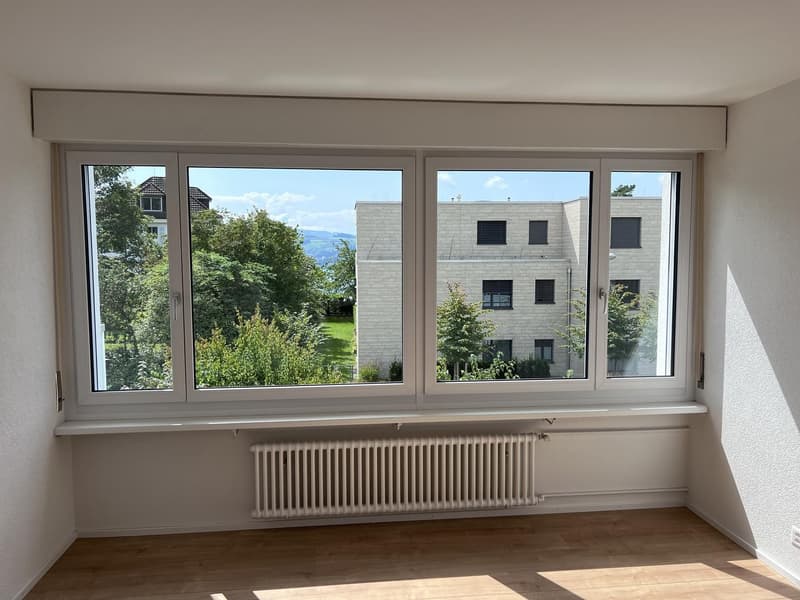 Appartamento 2 locali luminoso con piano terra spazioso, 5 minuti alla stazione di Uetikon, disponibile dal 1.11.2026 (6)