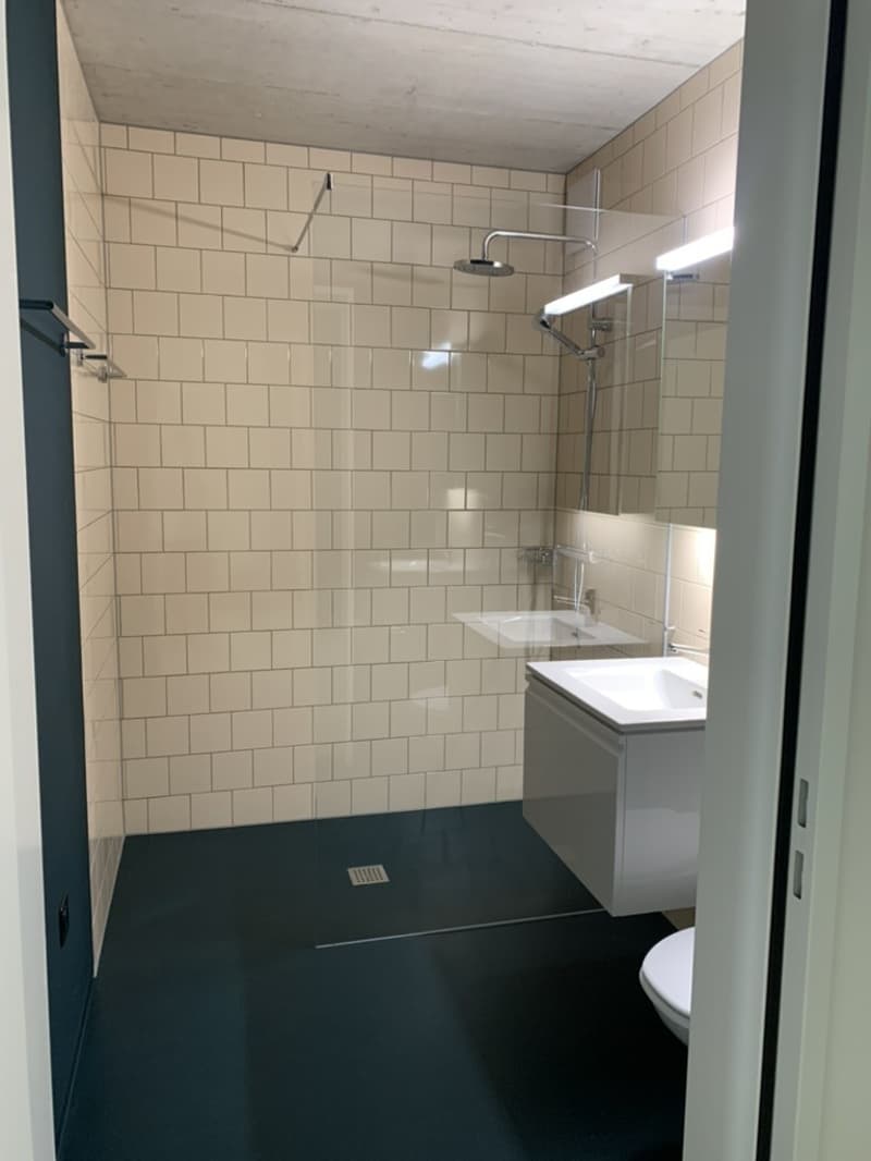 3.5-Zimmer Wohnung in der Nähe vom Zürichsee (4)