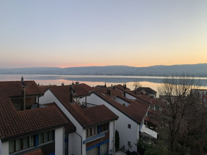 3.5-Zimmer Wohnung in der Nähe vom Zürichsee (2)