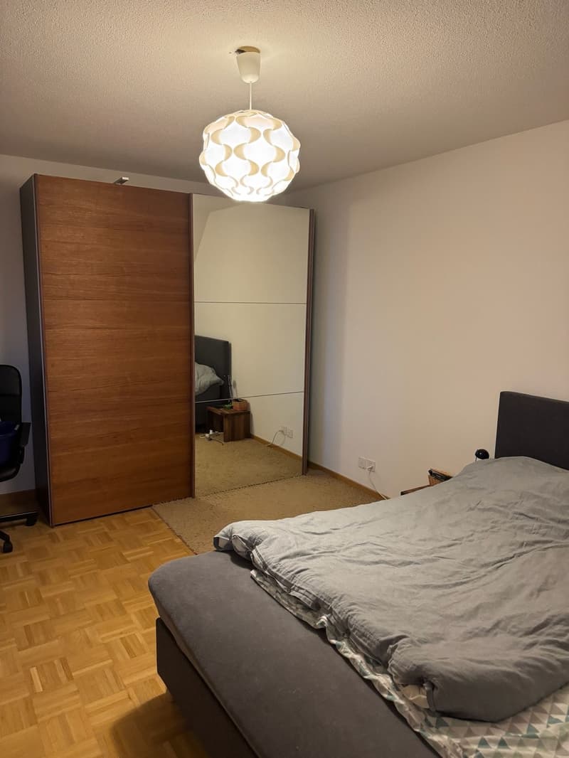 Dream apartment with lake view, 1 minute to the train station, in the heart of Richterswil (11)
