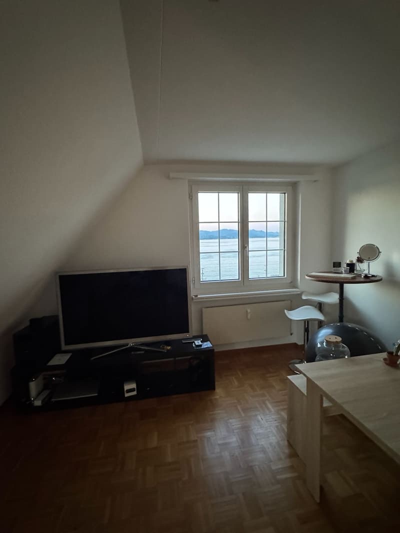 Dream apartment with lake view, 1 minute to the train station, in the heart of Richterswil (4)