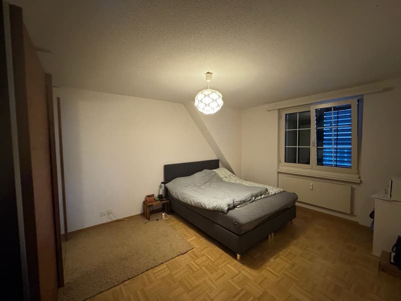 Dream apartment with lake view, 1 minute to the train station, in the heart of Richterswil (10)