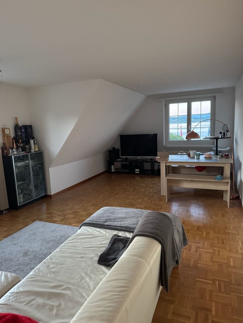Dream apartment with lake view, 1 minute to the train station, in the heart of Richterswil (7)