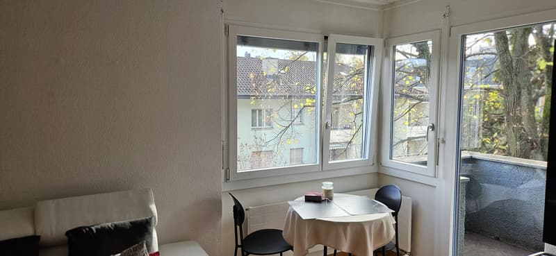Appartement ensoleillé et spacieux au cœur de Zurich, près du lac et du musée de la FIFA (3)