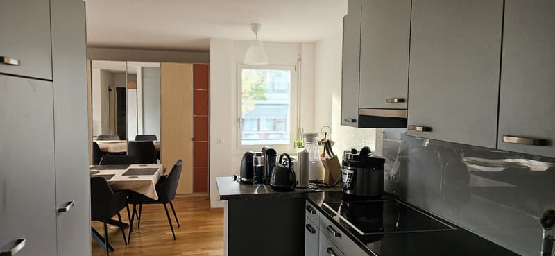 Appartement ensoleillé et spacieux au cœur de Zurich, près du lac et du musée de la FIFA (2)