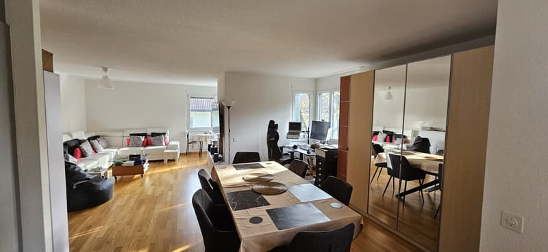 Appartement ensoleillé et spacieux au cœur de Zurich, près du lac et du musée de la FIFA (1)