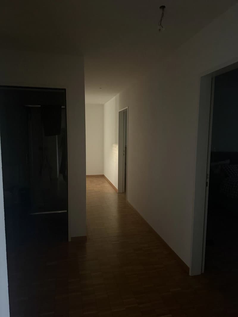 Appartement spacieux 4.5 pièces avec part de jardin à Eglisau (4)