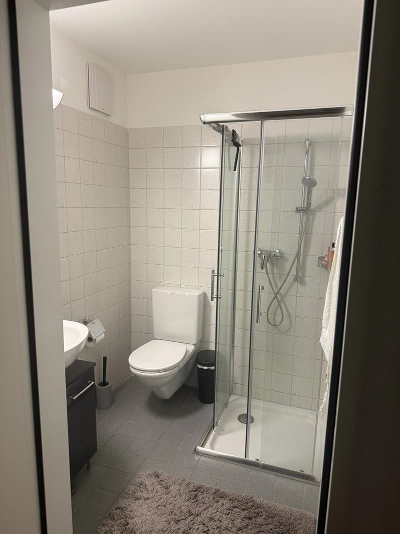 Appartement spacieux 4.5 pièces avec part de jardin à Eglisau (6)