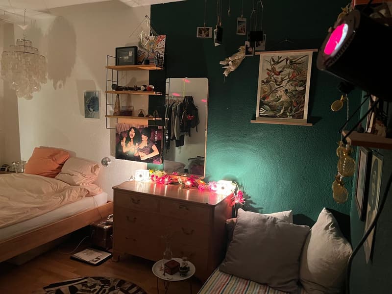 Flatmate wanted for 4.5-room apartment in prime location (5)