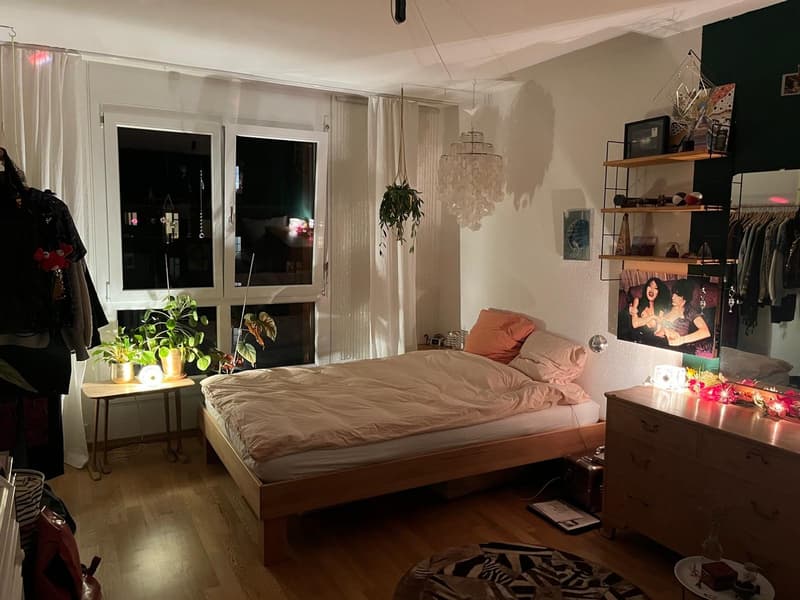 Flatmate wanted for 4.5-room apartment in prime location (6)