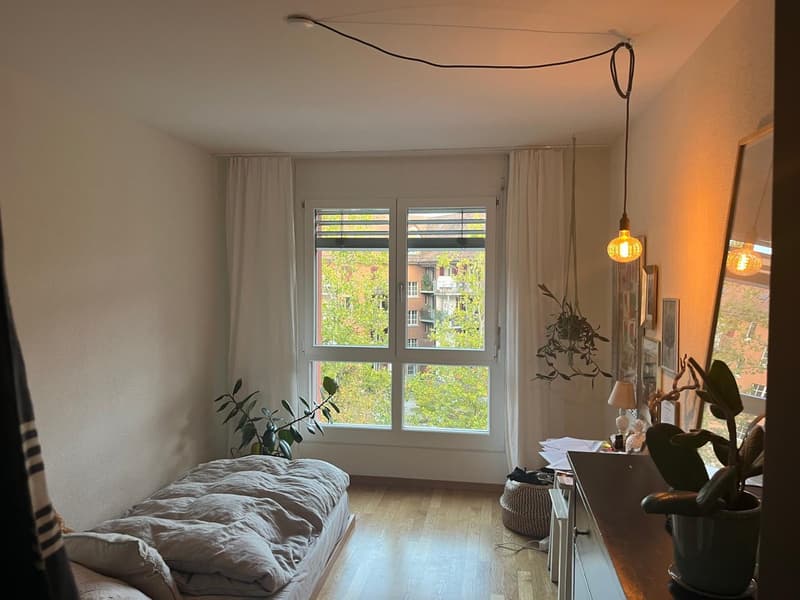 Flatmate wanted for 4.5-room apartment in prime location (3)