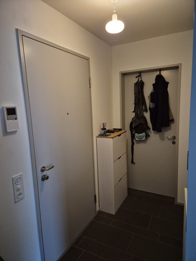 Moderne Südwohnung in Schwamendingen, Zürich (9)