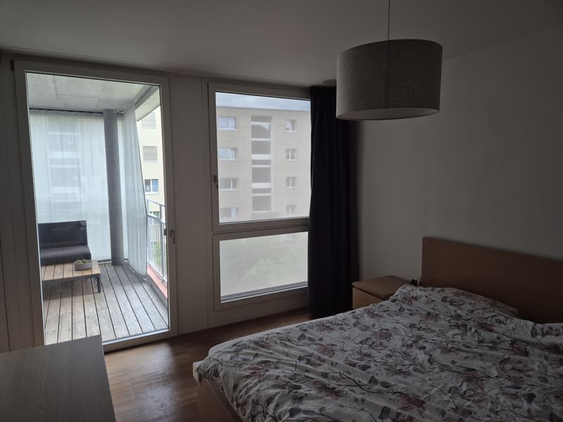 Moderne Südwohnung in Schwamendingen, Zürich (6)