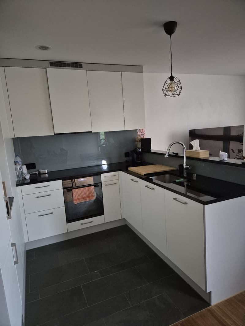 Moderne Südwohnung in Schwamendingen, Zürich (3)
