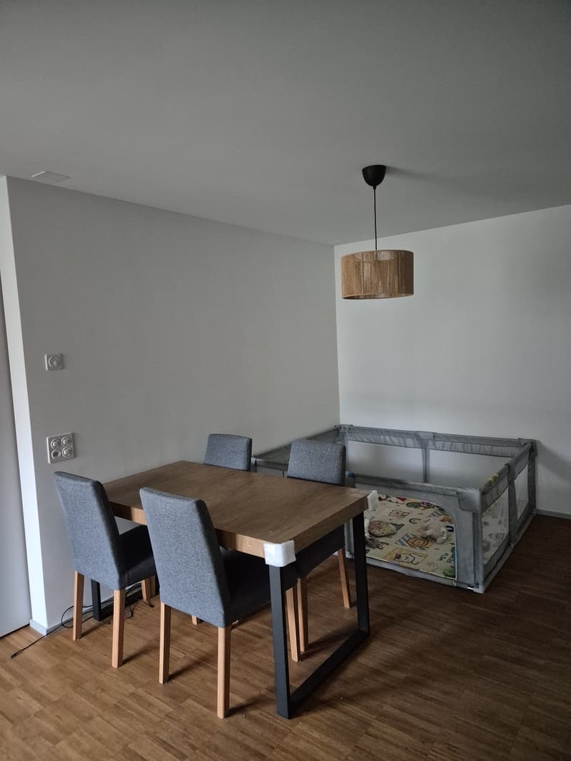 Moderne Südwohnung in Schwamendingen, Zürich (8)