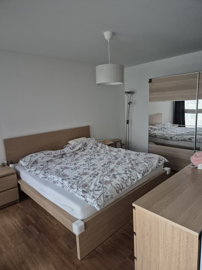 Moderne Südwohnung in Schwamendingen, Zürich (5)