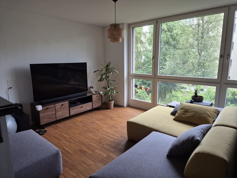 Moderne Südwohnung in Schwamendingen, Zürich (1)