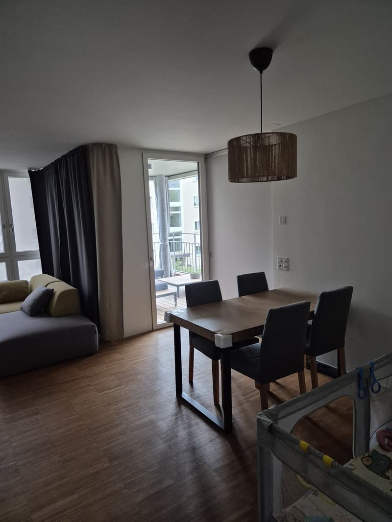 Moderne Südwohnung in Schwamendingen, Zürich (7)