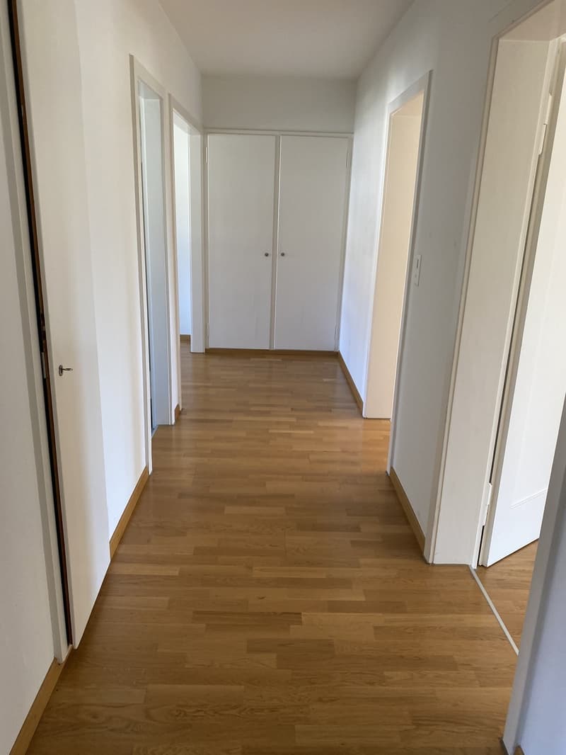 Appartement 2.5 pièces à Wollishofen (4)