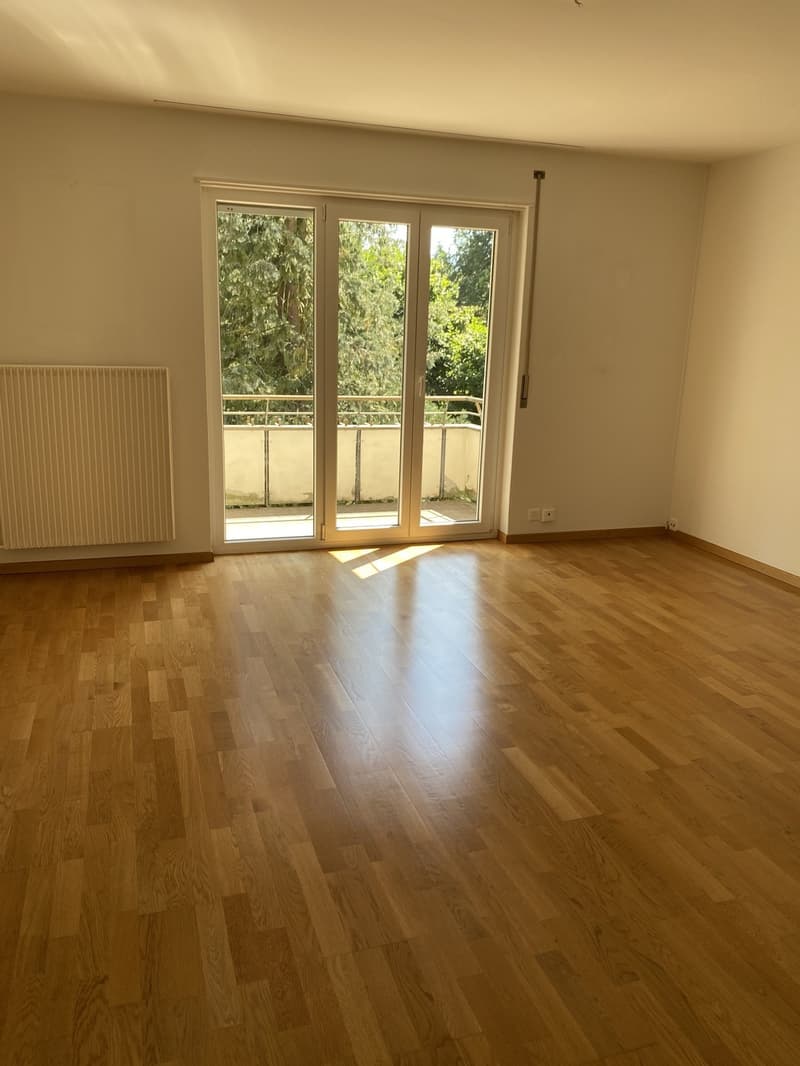 Appartement 2.5 pièces à Wollishofen (1)