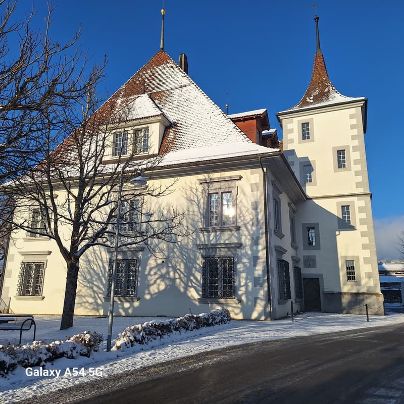2 stanze appartamento, 3068 Utzigen (2)