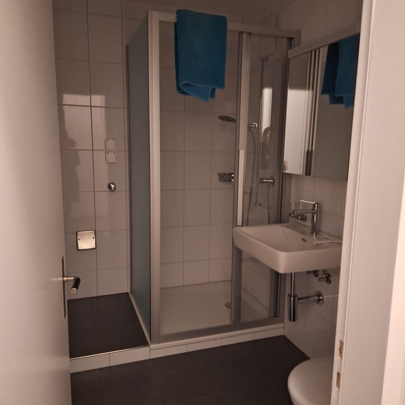 2 stanze appartamento, 3068 Utzigen (3)
