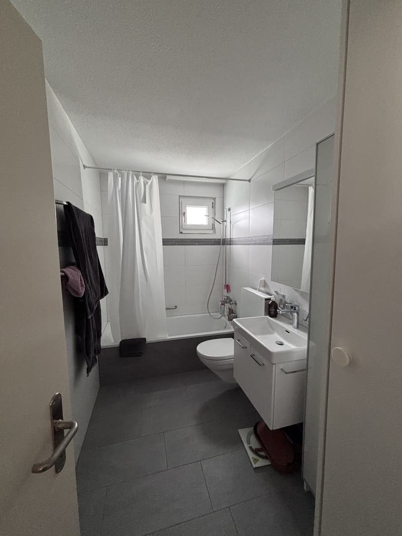 Bright 3.5-room apartment with balcony, evening sun & proximity to the forest as of August 1, 2026 / CHF 1809 incl. ancillary costs (8)