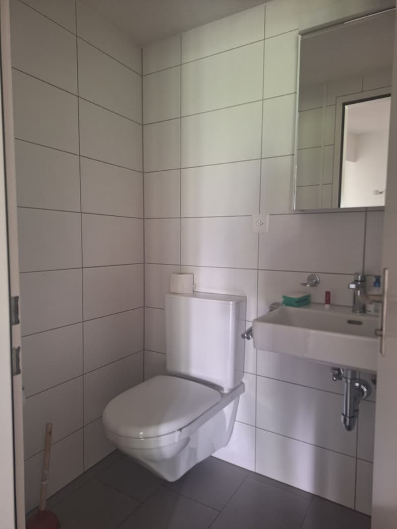 4-Zimmer-Wohnung mit Terrasse und Panoramablick in Adliswil (3)