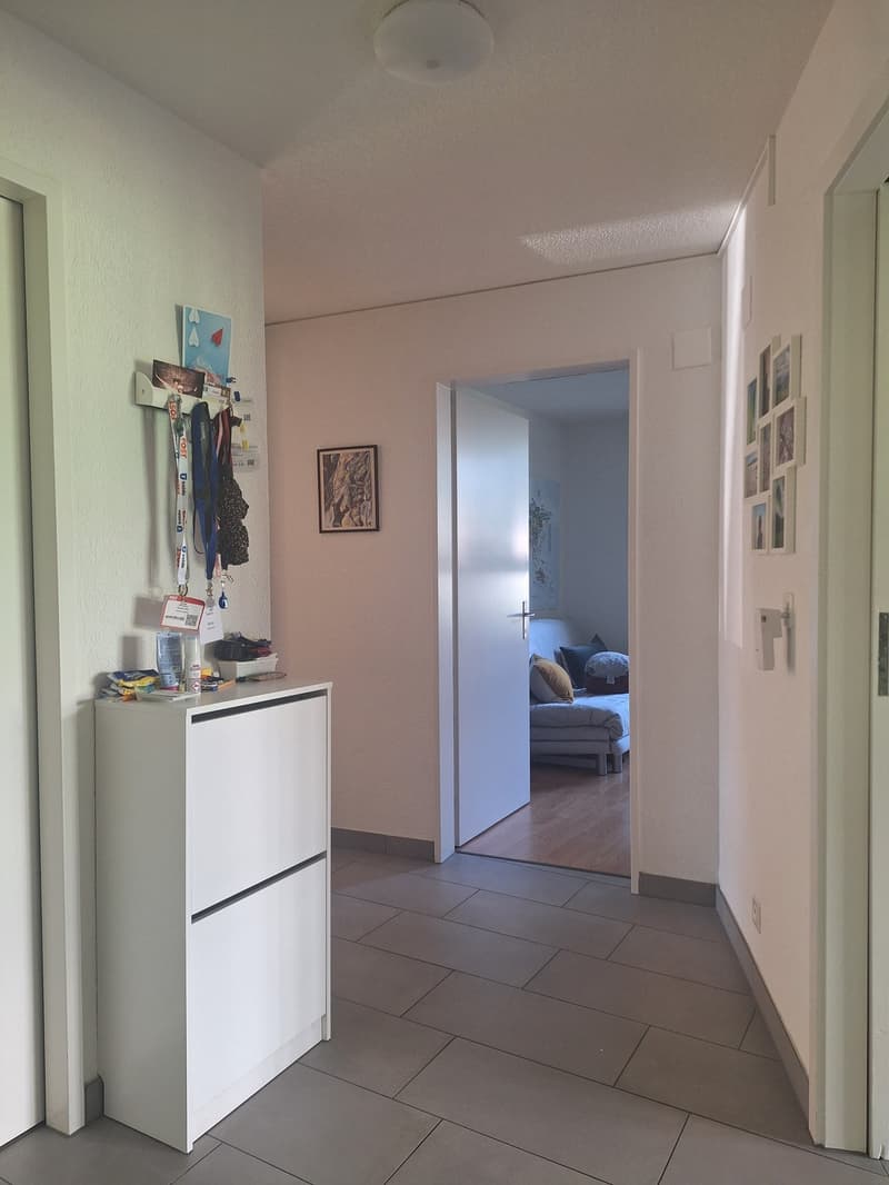 4-Zimmer-Wohnung mit Terrasse und Panoramablick in Adliswil (12)