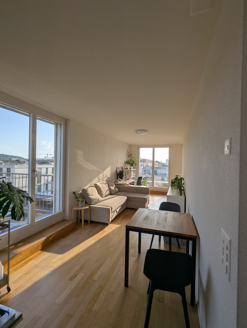 Appartement 2.5 pièces lumineux (1)