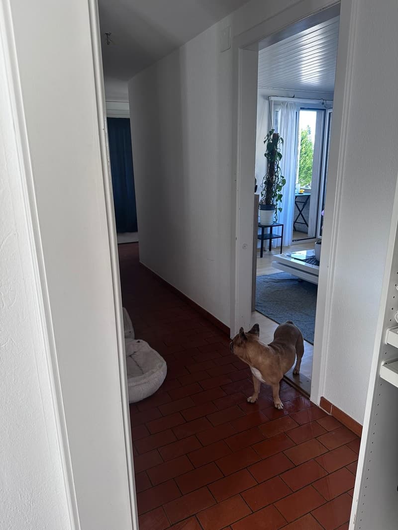 4 Bedroom Apartment (6)