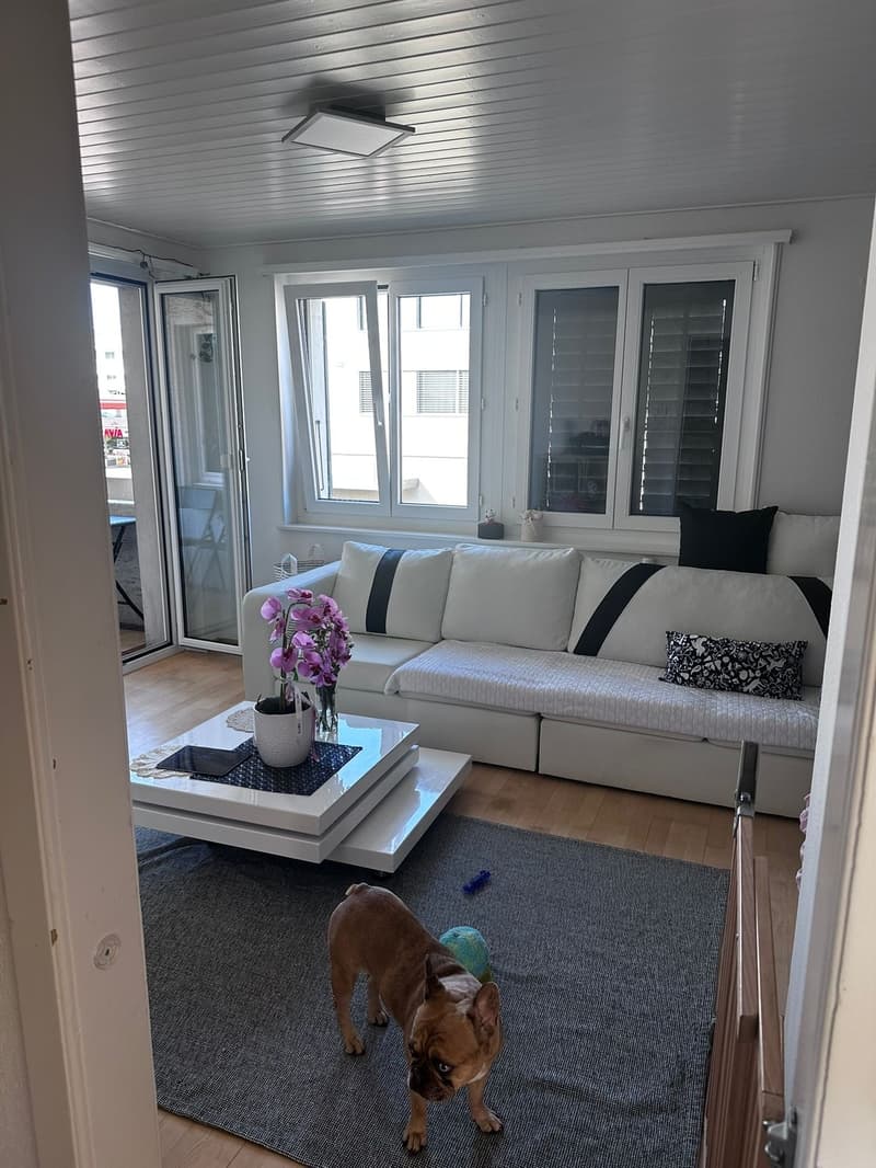 4 Bedroom Apartment (8)
