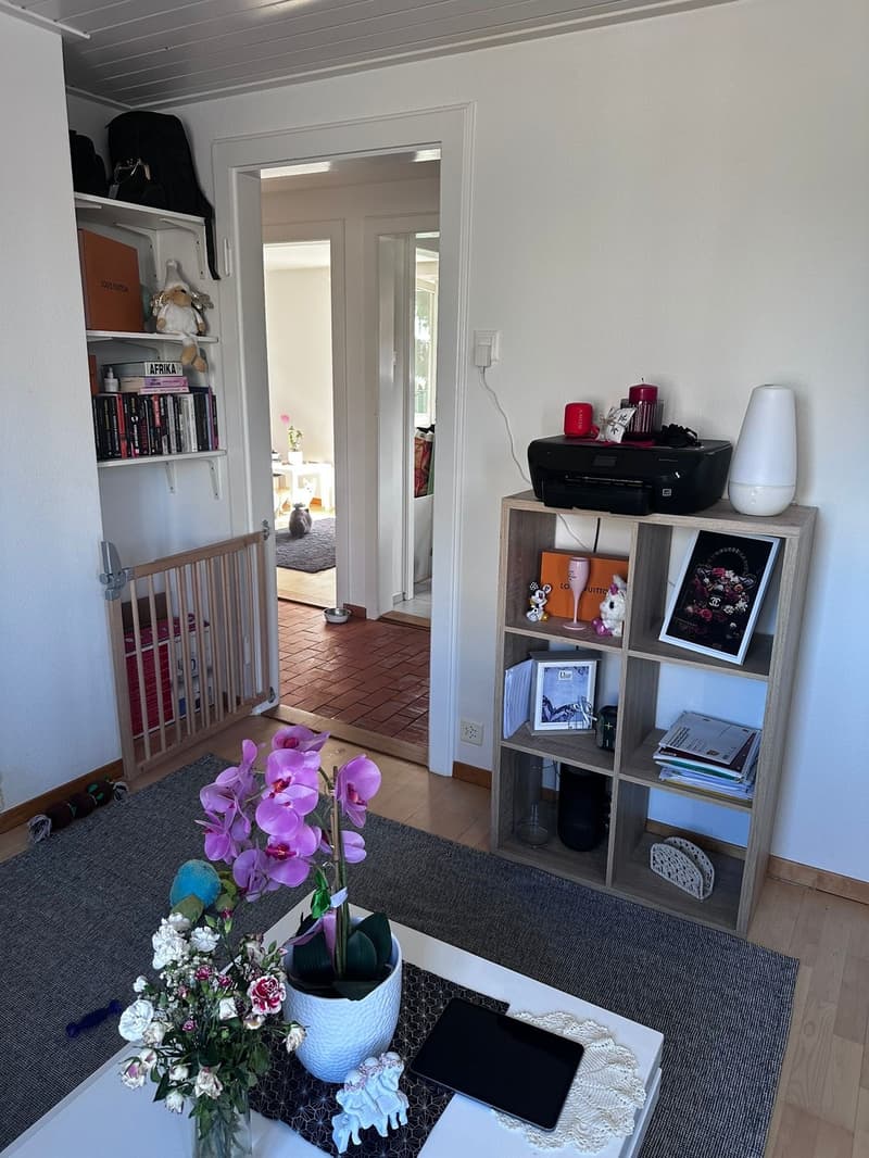 4 Bedroom Apartment (7)