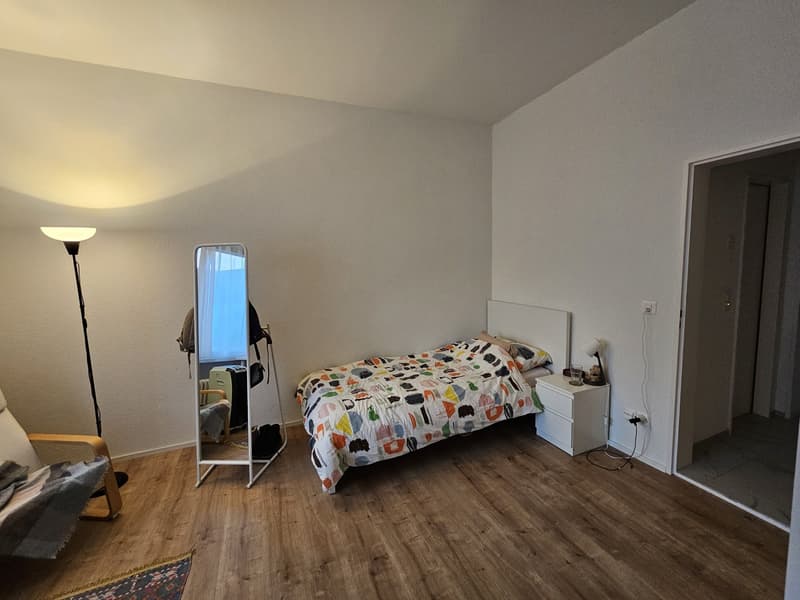 Appartement studio meublé lumineux à Zurich, disponible à partir de juillet 2026 (2)