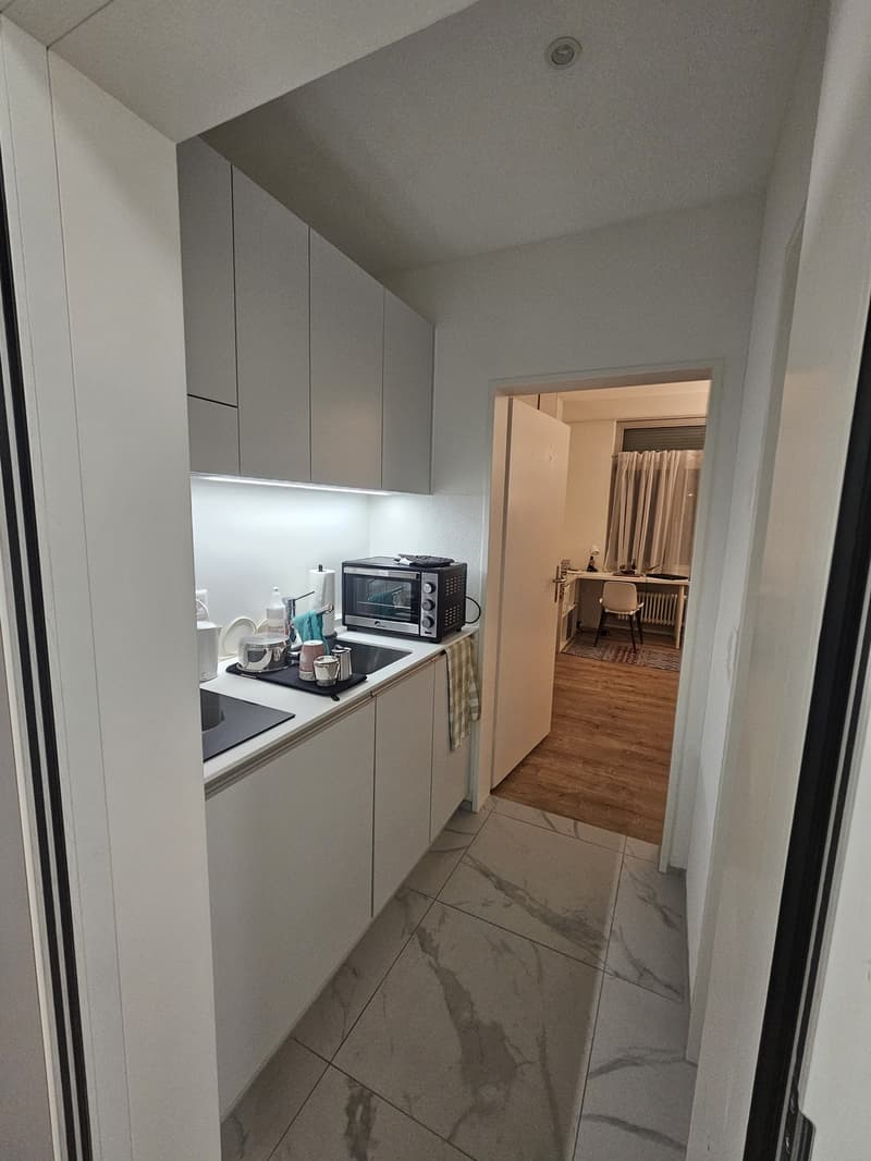 Appartement studio meublé lumineux à Zurich, disponible à partir de juillet 2026 (3)