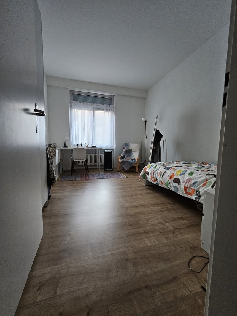 Appartement studio meublé lumineux à Zurich, disponible à partir de juillet 2026 (1)