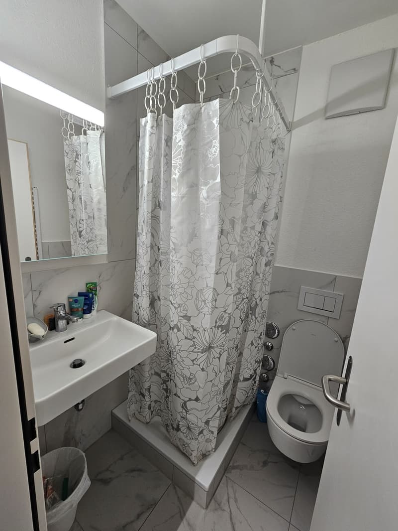 Appartement studio meublé lumineux à Zurich, disponible à partir de juillet 2026 (4)