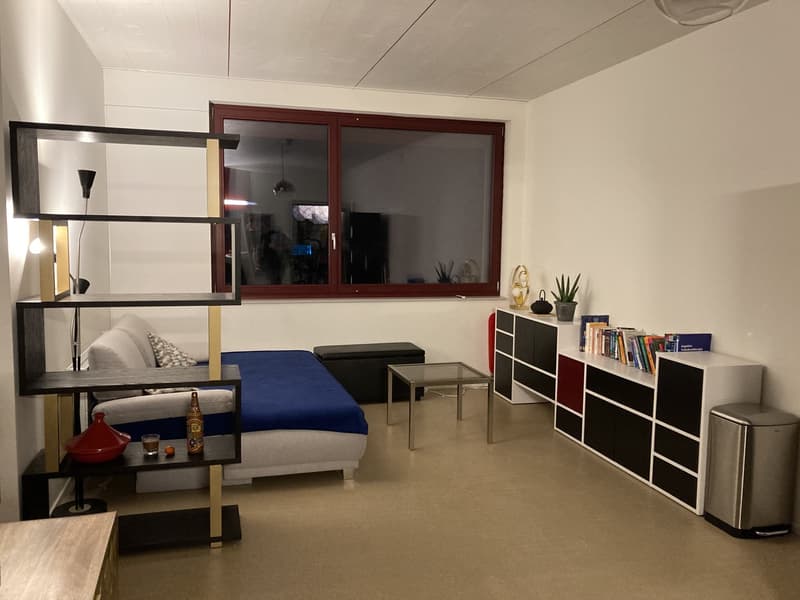 Ampia camera in condivisione con bagno privato in appartamento in cluster moderno in affitto dal 1° agosto (2)
