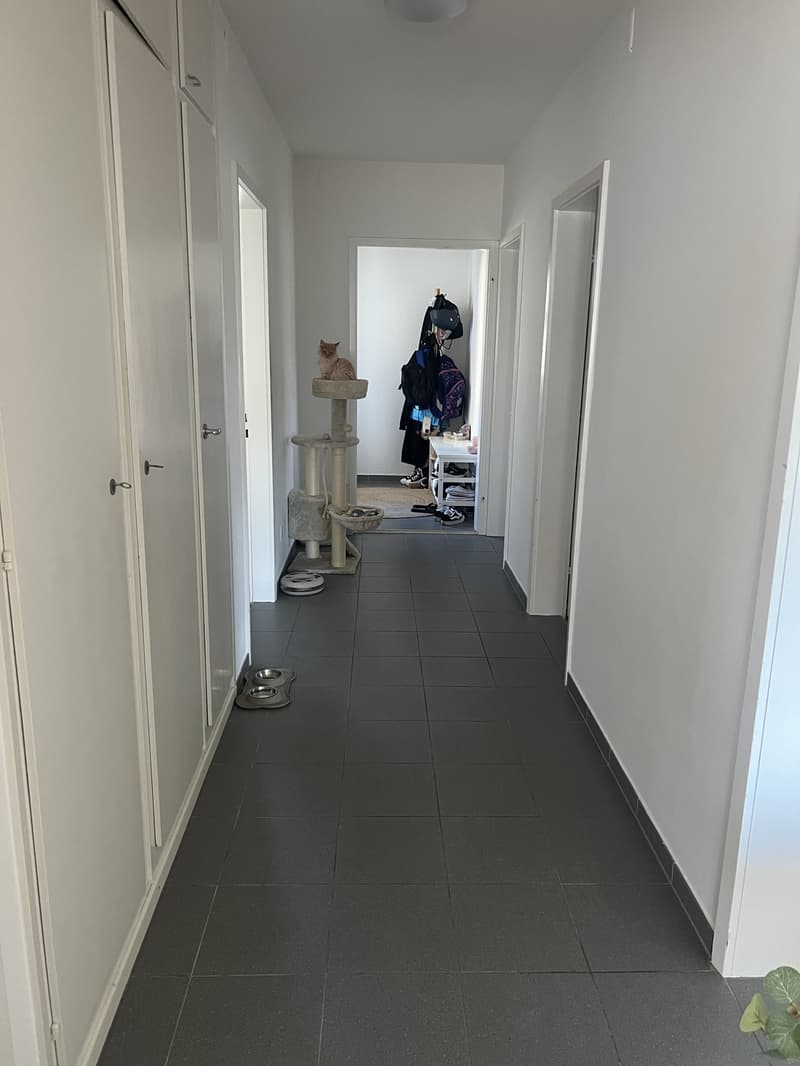 4 Pièces Appartement (1)